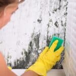 can mold kill parrots?