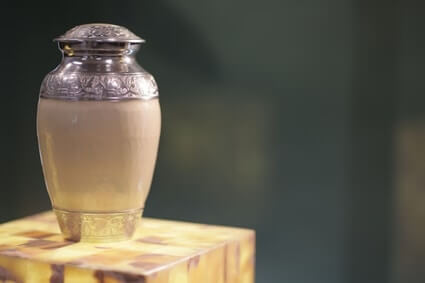 can parrots be cremated?