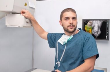 what causes liver disease in parrots?