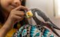 10 Best Parrots for Beginners (And Why!)