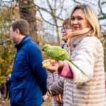 is it legal to own a parrot in the UK?