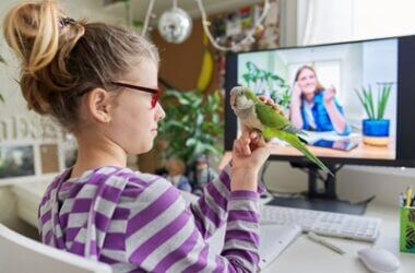 how good is a parrot's memory?